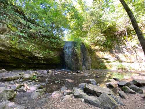 A serene waterfall cascades over rocks, surrounded by lush greenery and a calm pool of water below.