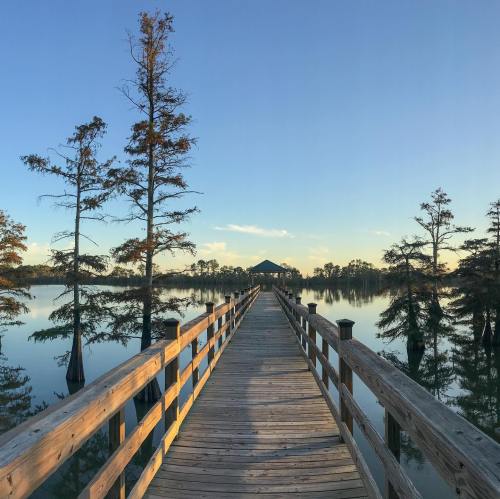A wooden pier extends into a calm lake, surrounded by trees and a clear blue sky.