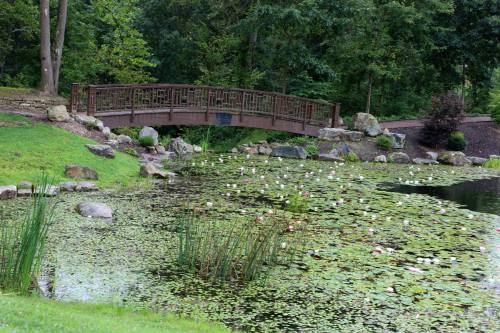 A wooden bridge over a pond covered with lily pads, surrounded by lush greenery and rocks.
