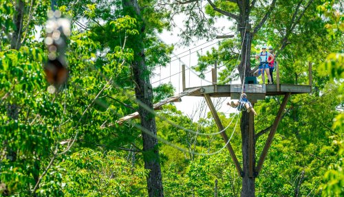 Two people on a platform in a tree, preparing for a zip line ride through a lush green forest.