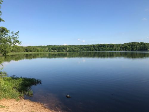 A calm lake surrounded by lush green trees under a clear blue sky, with a sandy shore in the foreground.