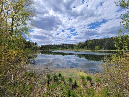 A serene lake surrounded by lush greenery and trees, reflecting a cloudy sky.