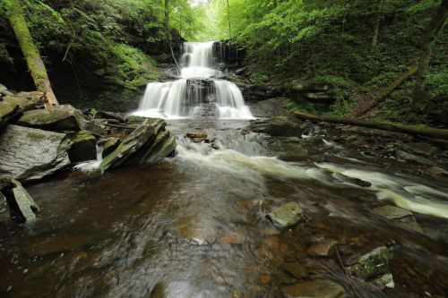 A serene waterfall cascades over rocks, surrounded by lush green trees and a tranquil stream below.