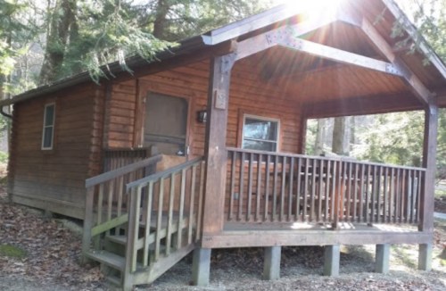 A cozy wooden cabin with a porch, surrounded by trees and sunlight filtering through the leaves.
