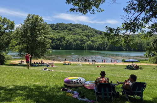 A sunny lakeside scene with people swimming, lounging on the grass, and enjoying a beach area surrounded by trees.
