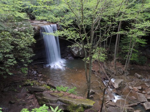 A serene waterfall cascades into a clear pool, surrounded by lush green trees and rocky terrain.