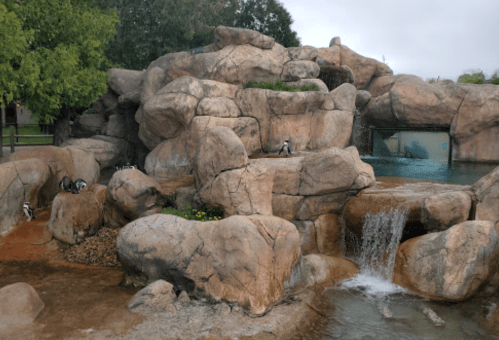 A rocky landscape with a small waterfall and a pool, featuring several penguins around the rocks.