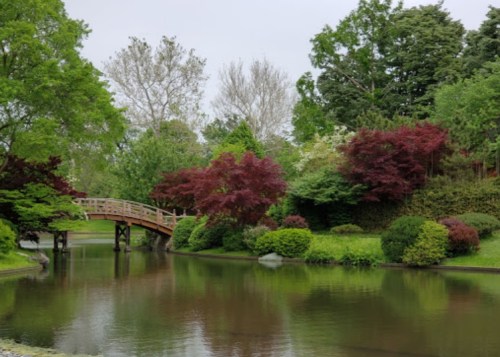 A serene garden scene featuring a wooden bridge over a calm pond, surrounded by lush greenery and colorful trees.