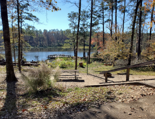 A serene lakeside scene with trees, a picnic area, and a wooden dock under a clear blue sky.