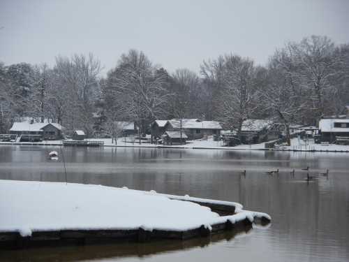 A snowy landscape by a lake, featuring houses, bare trees, and ducks swimming in the water.