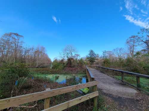 A wooden bridge over a wetland area, surrounded by trees and blue sky, with green vegetation in the water.