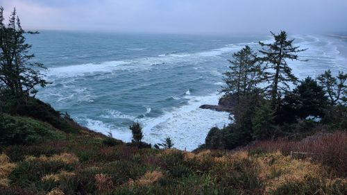 A coastal view with waves crashing against the shore, surrounded by trees and grassy hills under a cloudy sky.
