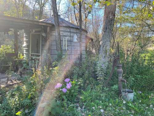 A rustic cabin surrounded by greenery and flowers, with an old-fashioned water pump nearby.