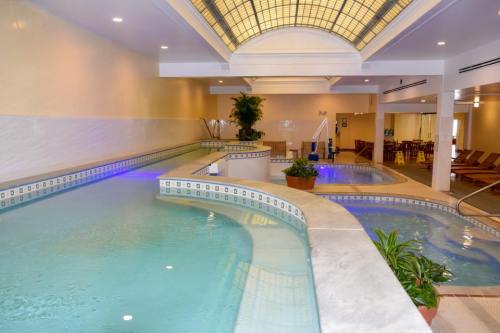 Indoor swimming pool area featuring curved water channels, lounge chairs, and plants under a glass ceiling.