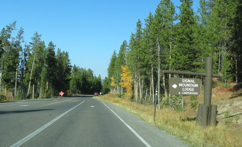 A road sign for Signal Mountain Lodge and Campground, surrounded by trees and a clear blue sky.