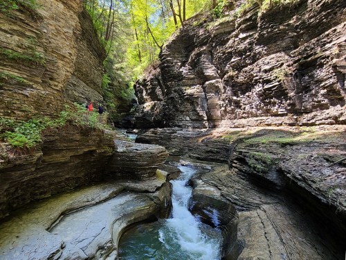 A narrow canyon with steep rock walls and a flowing stream, surrounded by lush greenery and sunlight filtering through trees.