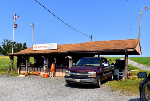 A small roadside stand with a sign reading "Ringer's Fruits & Veg." and a parked truck in front.