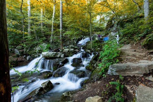 A serene forest scene with a flowing stream, rocks, and vibrant autumn foliage. A person stands near the water.