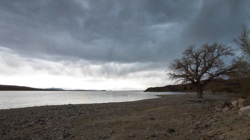 A barren shoreline under a cloudy sky, with a solitary tree near the water's edge and distant hills in the background.