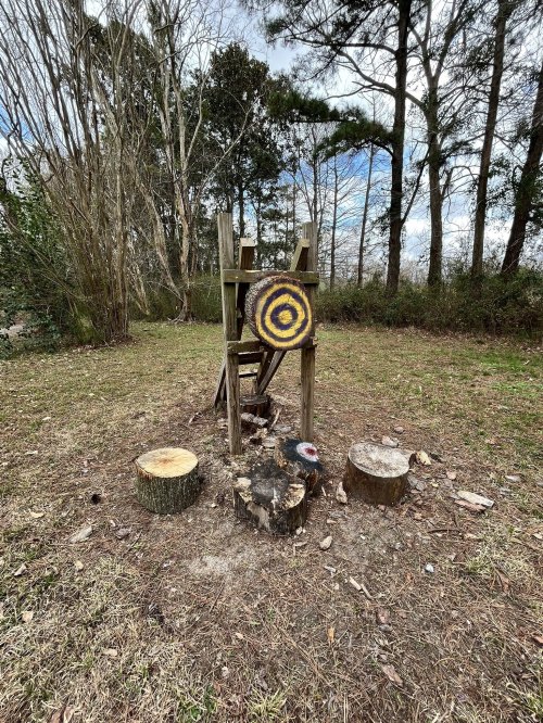 A wooden target on a stand surrounded by tree stumps in a grassy area with trees in the background.