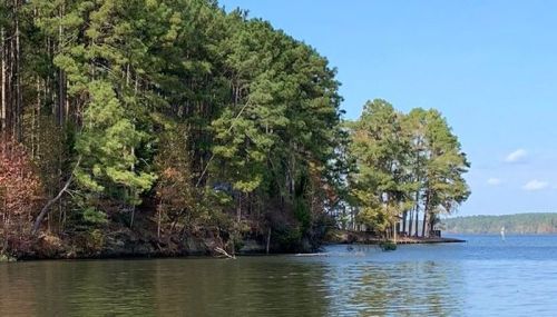A serene lake scene with lush green trees lining the shore under a clear blue sky.