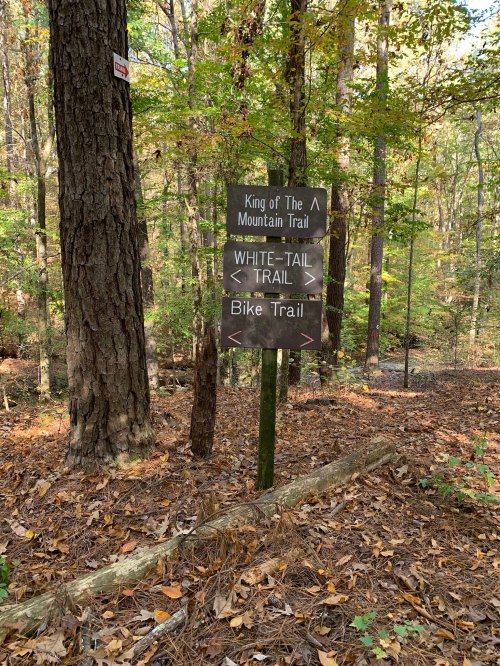 Trail sign in a wooded area indicating directions for King of the Mountain Trail, White-Tail Trail, and Bike Trail.