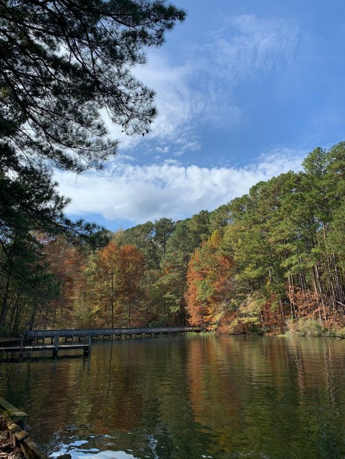 A serene lake surrounded by trees with autumn foliage under a partly cloudy sky.
