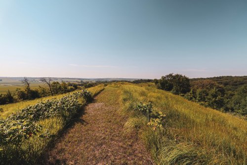 A scenic view of a grassy path winding through lush fields under a clear blue sky.