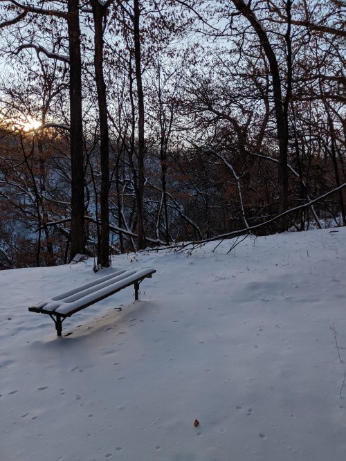 A snow-covered bench in a quiet forest at sunset, surrounded by trees with bare branches.