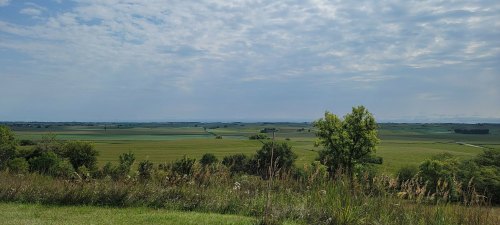 A panoramic view of lush green fields under a cloudy sky, with trees in the foreground and rolling hills in the distance.