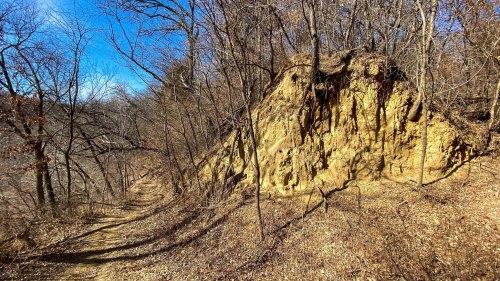 A dirt hill surrounded by bare trees on a sunny day, with a clear blue sky above.