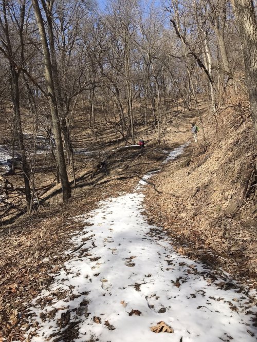 A snowy path winds through a wooded area with bare trees, leading to a stream and two people in the distance.