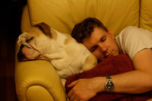 A man and a bulldog peacefully sleeping together on a yellow couch, sharing a cozy moment.