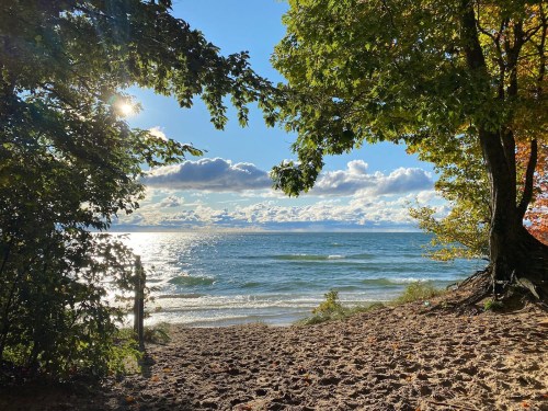 A serene beach scene framed by trees, with sunlight reflecting on the water and clouds in a blue sky.