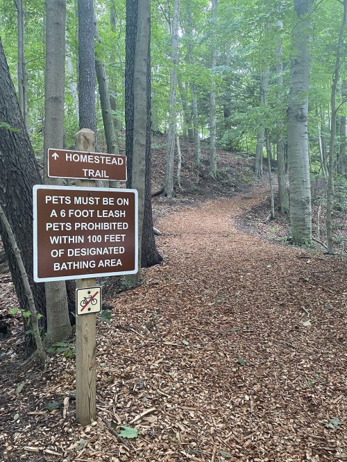 Sign for Homestead Trail with pet leash rules and a no-pets symbol, surrounded by trees and a wooded path.