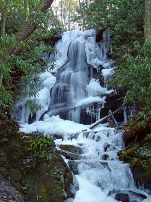 A frozen waterfall surrounded by lush greenery and icicles, cascading down rocky terrain.