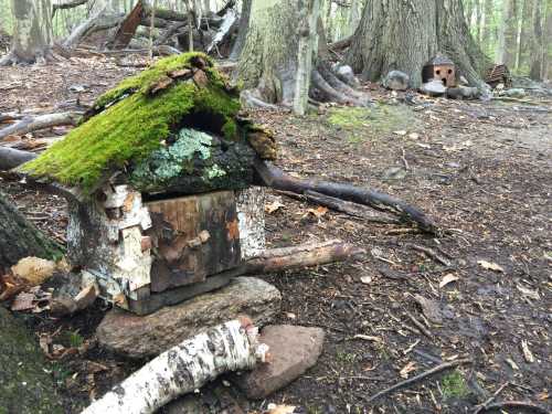 A small, rustic birdhouse covered in moss, surrounded by trees and natural debris in a forest setting.