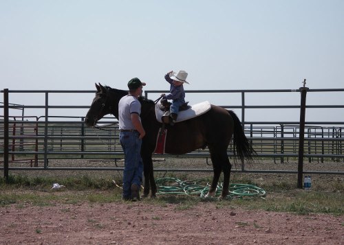 A child in a cowboy hat sits on a horse while an adult stands nearby, both in a rural setting.