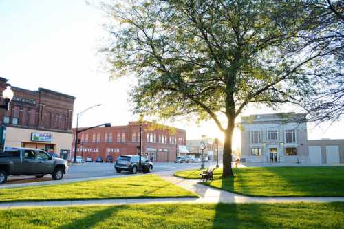 A sunny street scene with a tree, cars, and buildings in a small town, showcasing a vibrant community atmosphere.