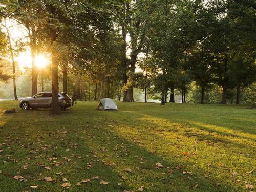 A serene campsite at sunset, featuring a tent, a car, and trees with golden light filtering through the leaves.
