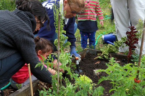 A group of people, including children, gardening together, planting in a vegetable garden surrounded by greenery.