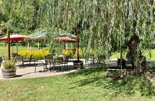 A serene outdoor seating area with umbrellas, surrounded by greenery and flowers, under a willow tree.