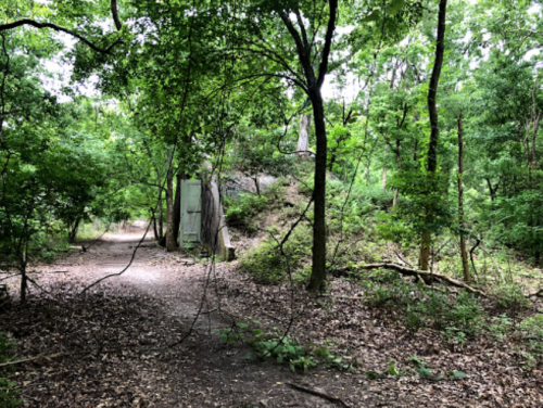 A wooded path surrounded by lush greenery and trees, with a rocky area visible in the background.