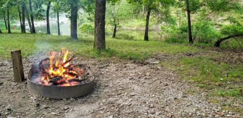A campfire burns in a metal ring on a grassy area near a calm lake, surrounded by trees.