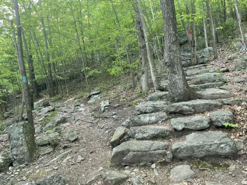 A rocky hiking trail surrounded by lush green trees and foliage.
