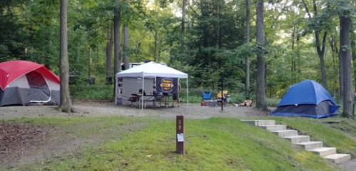 A campsite in a wooded area featuring three tents and a canopy, with a pathway leading to the site.