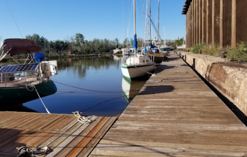 A calm marina with sailboats docked along a wooden walkway, surrounded by trees and clear blue skies.