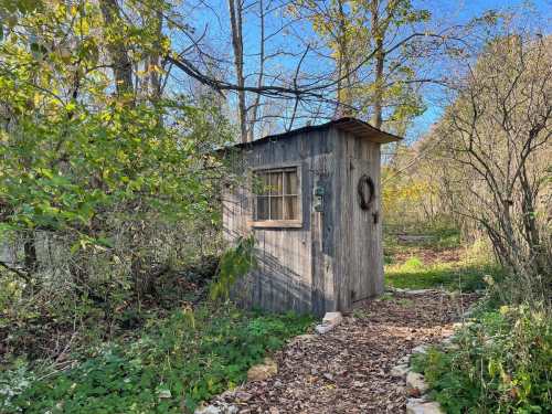 A small wooden shed surrounded by trees and greenery, with a path leading up to it on a sunny day.