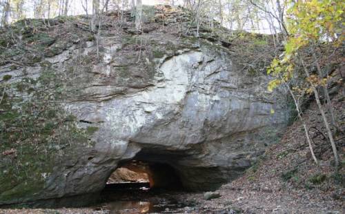 A rocky cave entrance surrounded by trees and foliage, with a small stream visible in the foreground.