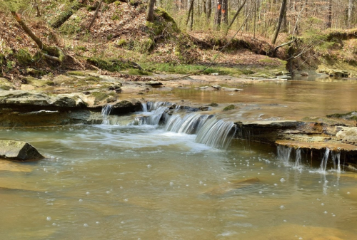 A serene stream flows over rocky ledges in a wooded area, surrounded by trees and gentle greenery.